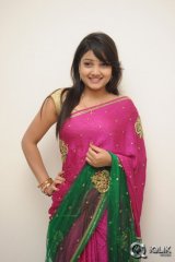 Priyanka at Welcome To America Movie Trailer Launch